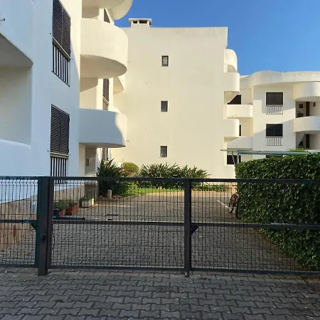 Beach Shell Flat